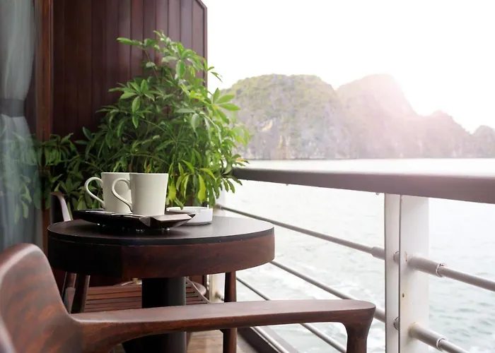  Orchid Trendy Cruise